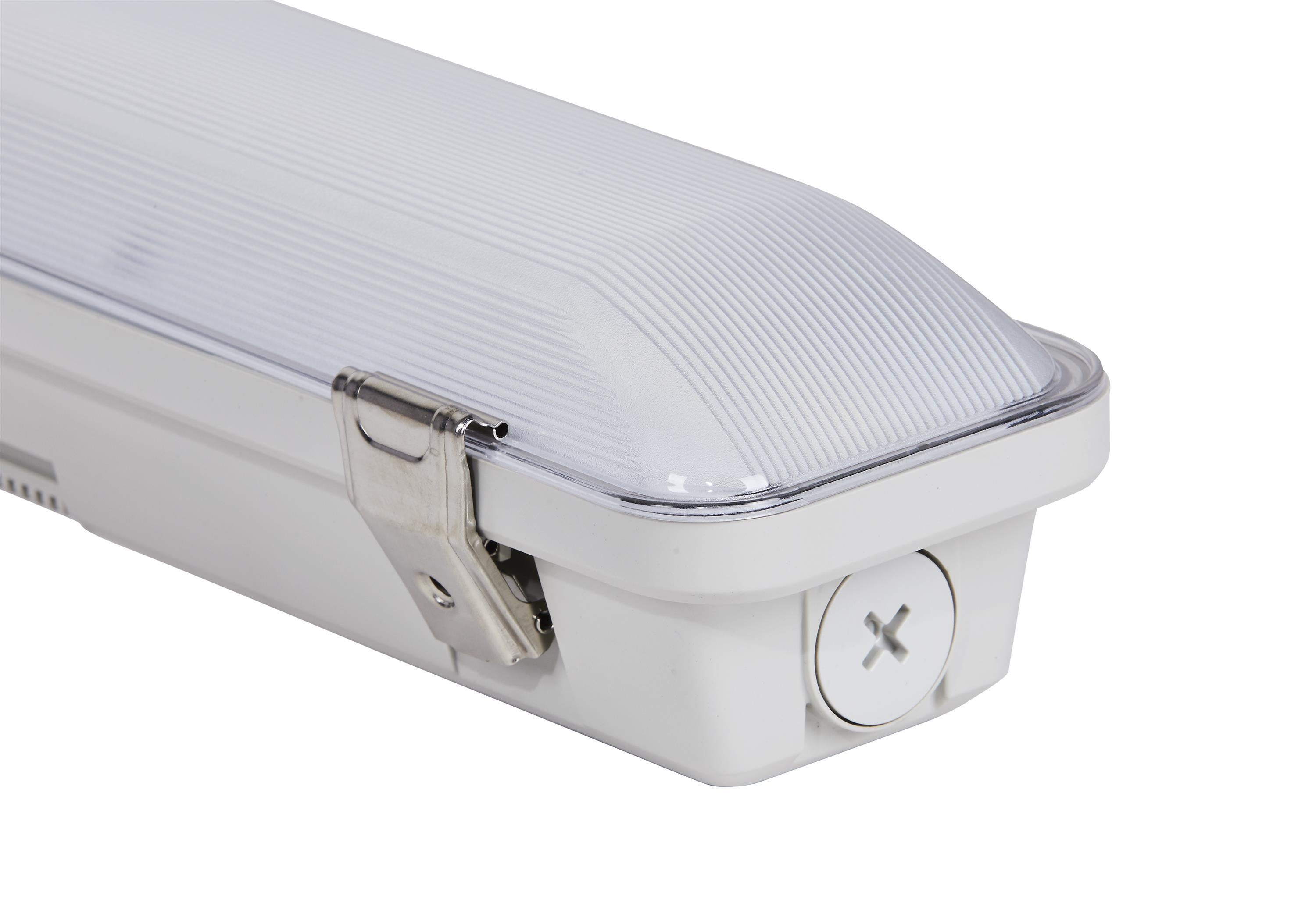 DOTLUX LED-Feuchtraumleuchte MISTRAL IP66 1240mm max36W 4000K gefrostet