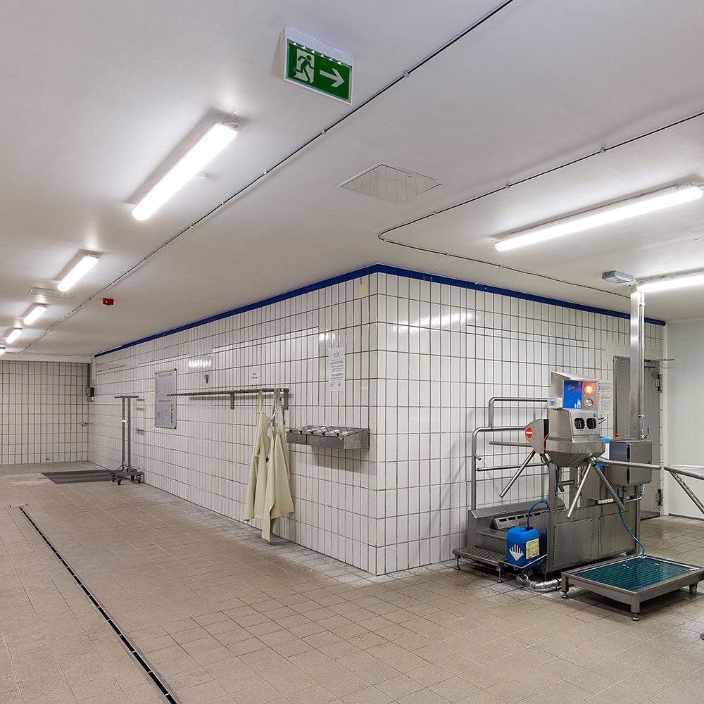 DOTLUX LED-Feuchtraumleuchte MISTRAL IP66 1540mm max.57W 4000K gefrostet