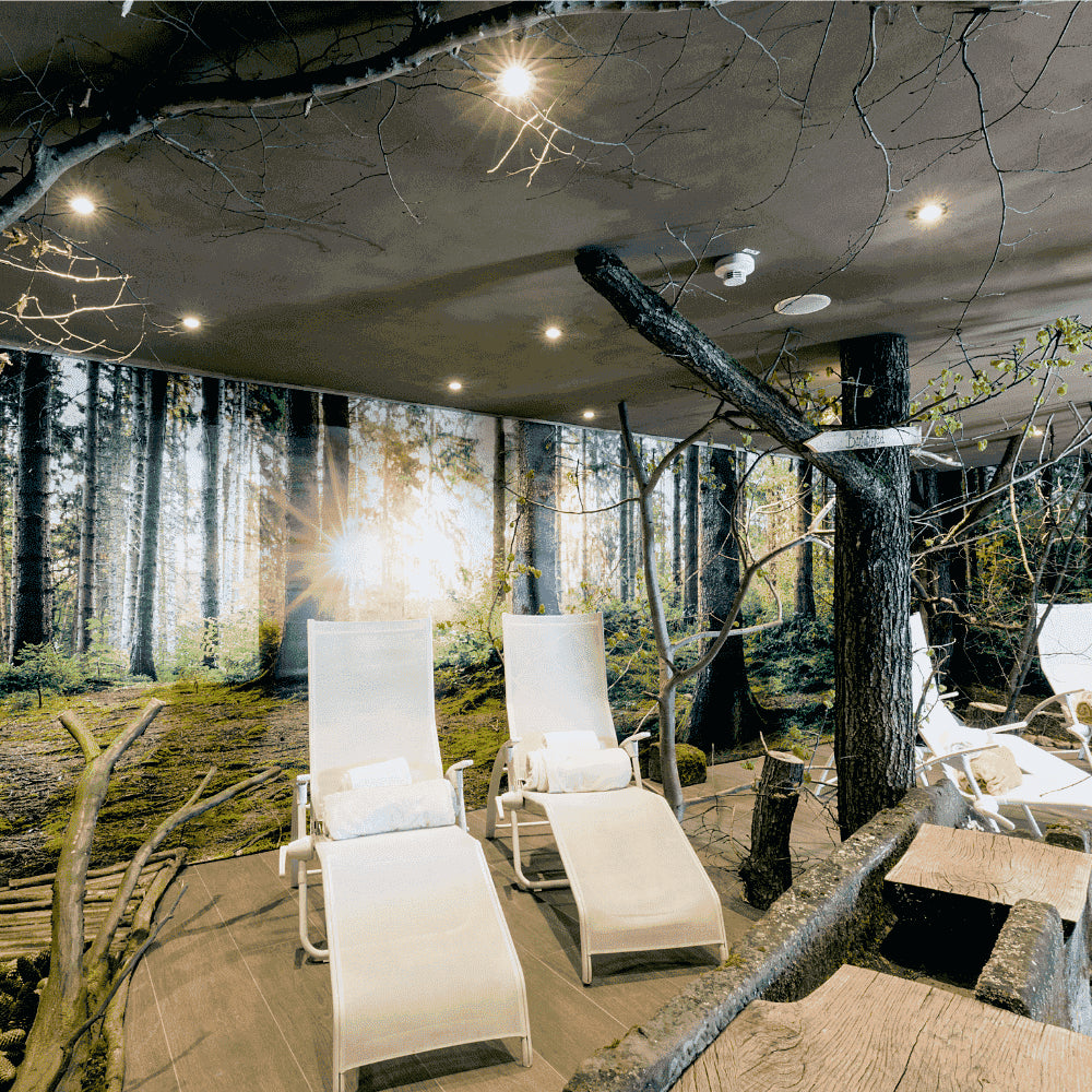 DOTLUX LED-Leuchte MULTIsun 8W 2000-2800K Sunset dimming (ohne Zierblende)