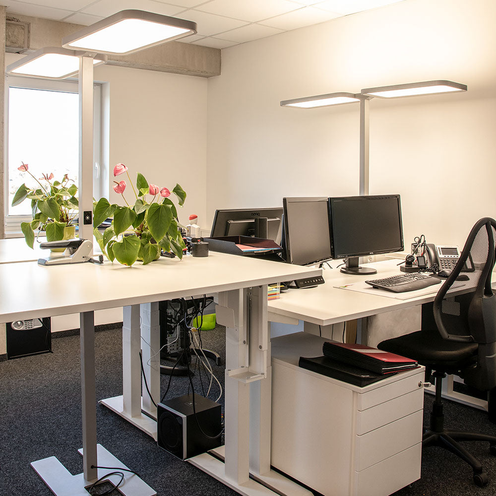 DOTLUX LED-Stehleuchte Doppelkopf STUDIObutlerduo 2x80W 4000K dimmbar