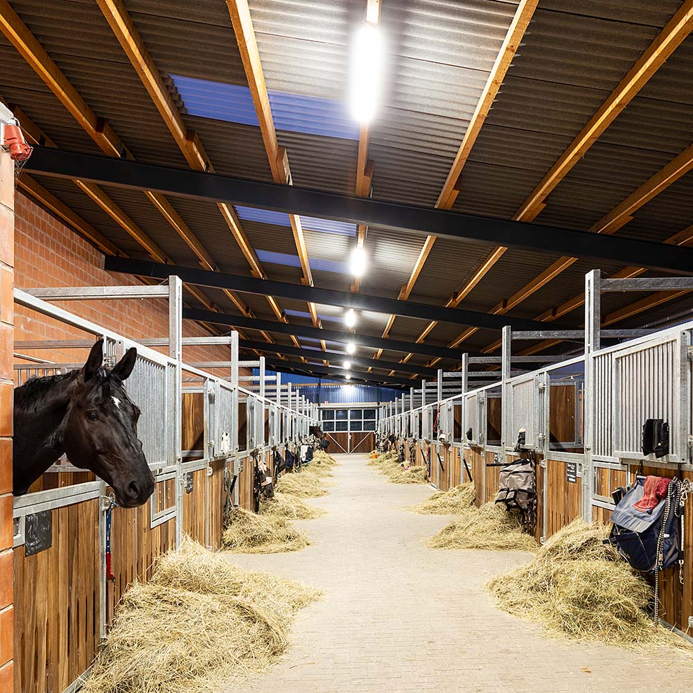 DOTLUX LED-Hallenflächenleuchte HALLprotect 145W 5000K DALI