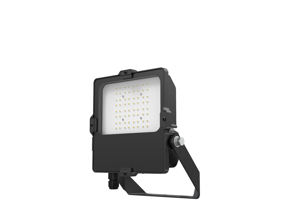 DOTLUX LED-Fluter LENSplus 50W 3000K 30*60° Abstrahlwinkel