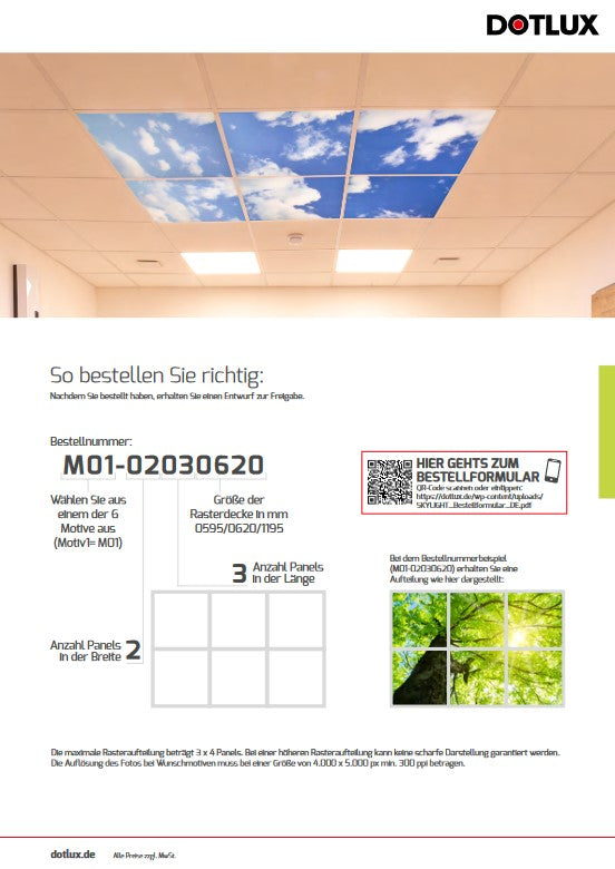 DOTLUX Motivplatte SKYLIGHT für Einbaupanels Motiv 6 Raster 1x1 für 620x620