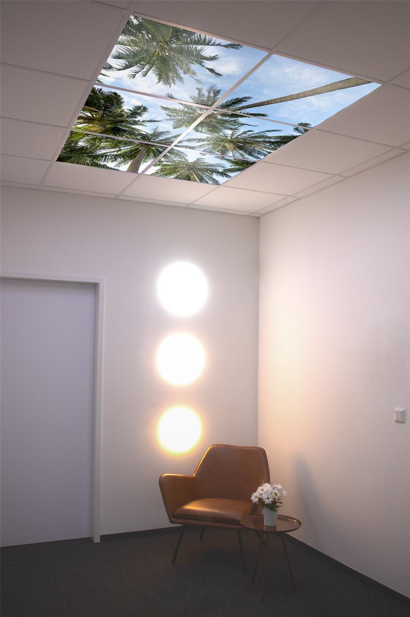 DOTLUX Motivplatte SKYLIGHT für Einbaupanels Motiv 4 Raster 1x1 für 620x620