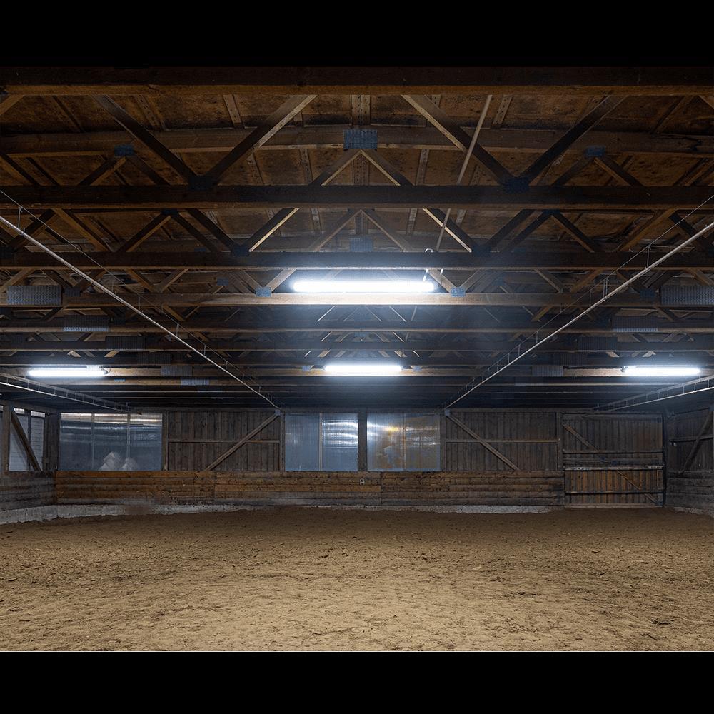 DOTLUX LED-Feuchtraumleuchte MISTRAL IP66 640mm max37W 4000K gefrostet