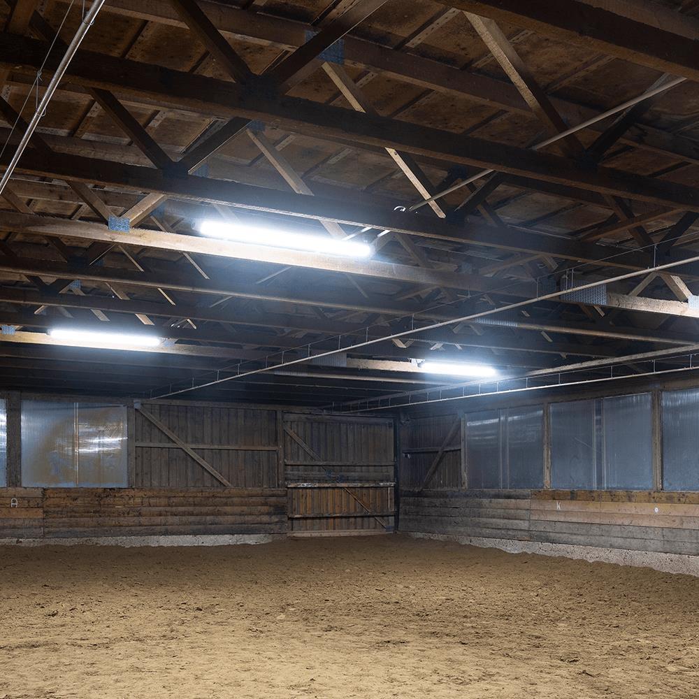 DOTLUX LED-Feuchtraumleuchte MISTRAL IP66 640mm 26W 4000K gefrostet B-Ware