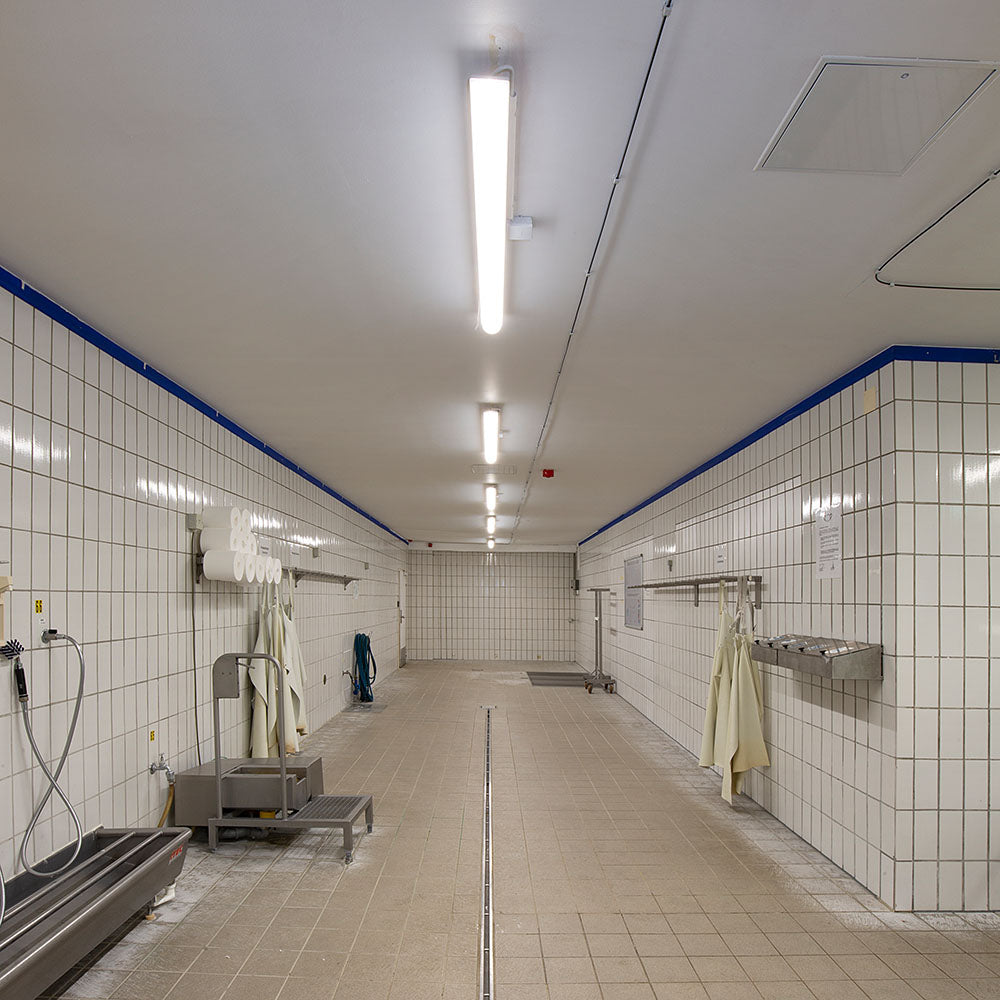 DOTLUX LED-EX-Schutzleuchte MISTRALex EX Geschützt IP66 1272mm 23W 4000K IK10 Zone 2 & 22 DALI