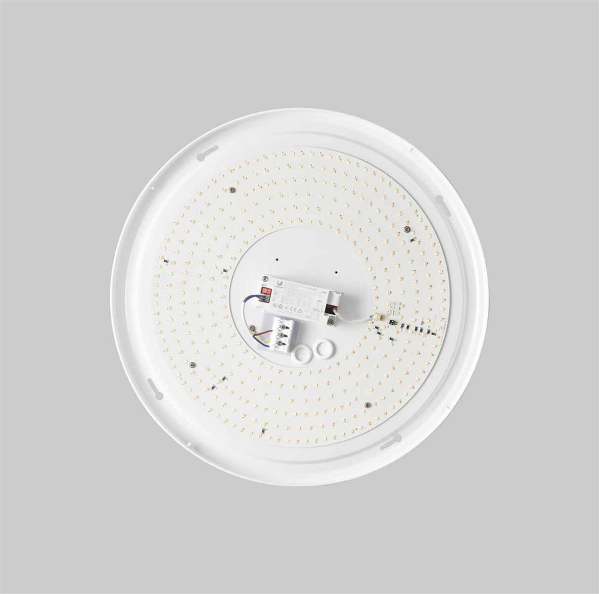 DOTLUX BASIS LUNA 490mm B-Ware