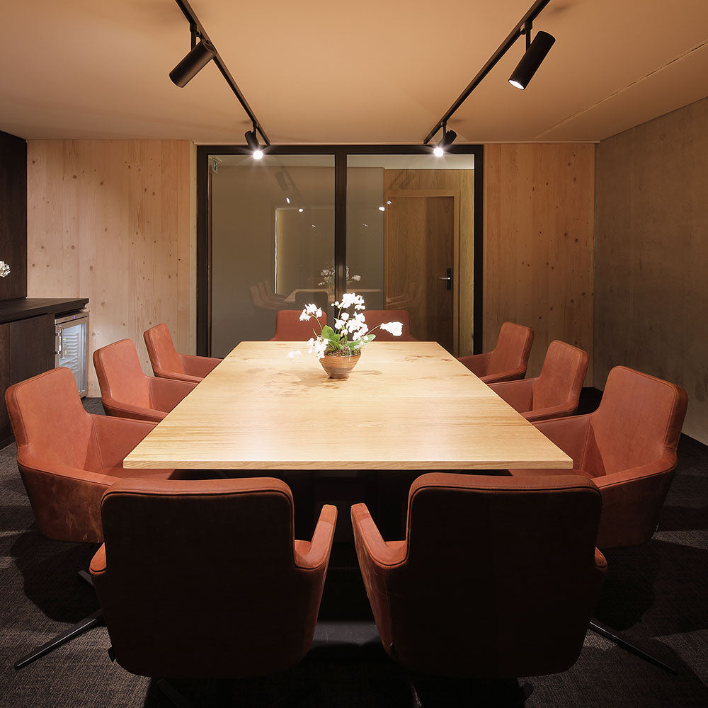 DOTLUX LED-Tracklight SLIMtrack-eco max.21W POWERselect & COLORselect schwarz 36°
