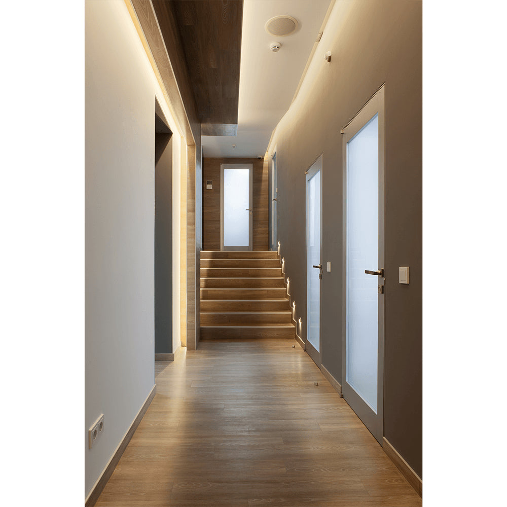 DOTLUX LED-Streifen 72W 10mm RGB IP20 5m-Rolle inkl. 50cm Anschlusskabel beidseitig
