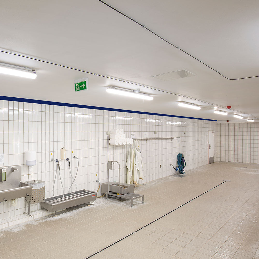 DOTLUX LED-EX-Schutzleuchte MISTRALex EX Geschützt IP66 1272mm 44W 4000K IK10 Zone 2 & 22 DALI