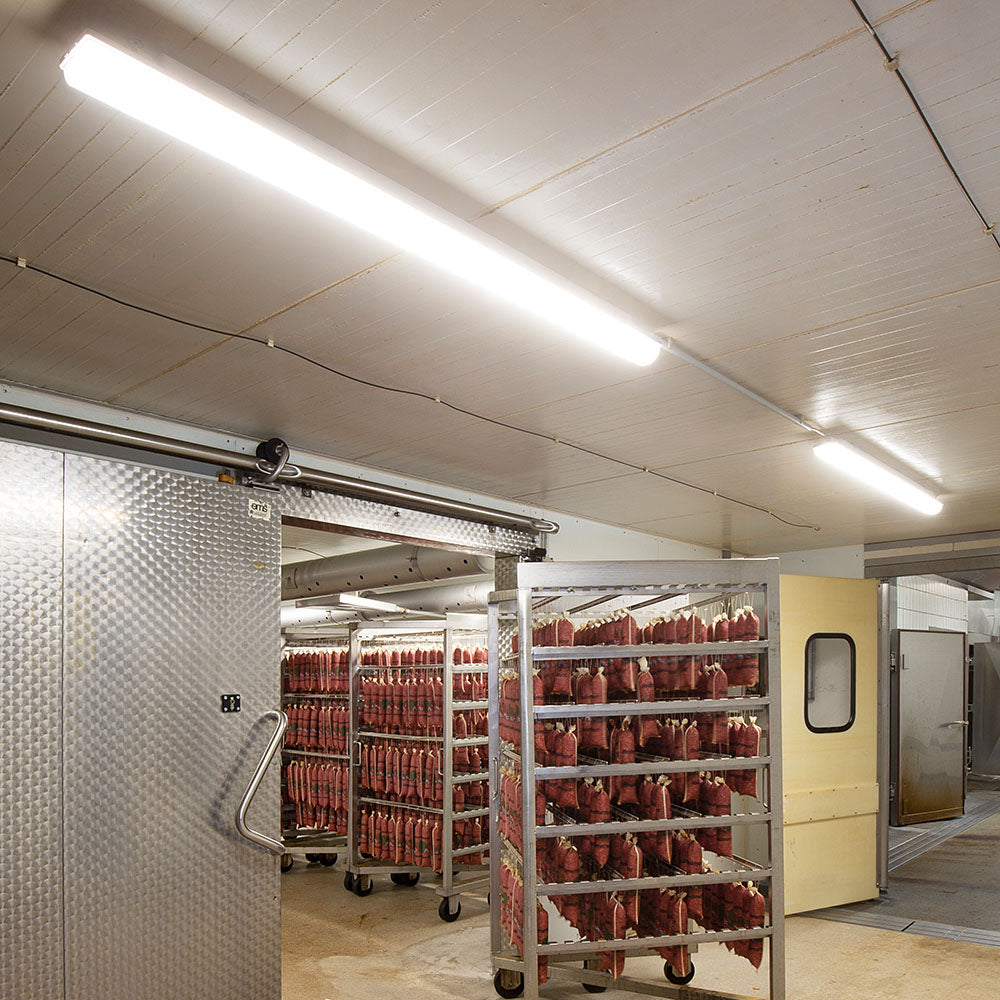 DOTLUX LED-EX-Schutzleuchte MISTRALex EX Geschützt IP66 1272mm 44W 4000K IK10 Zone 2 & 22 DALI