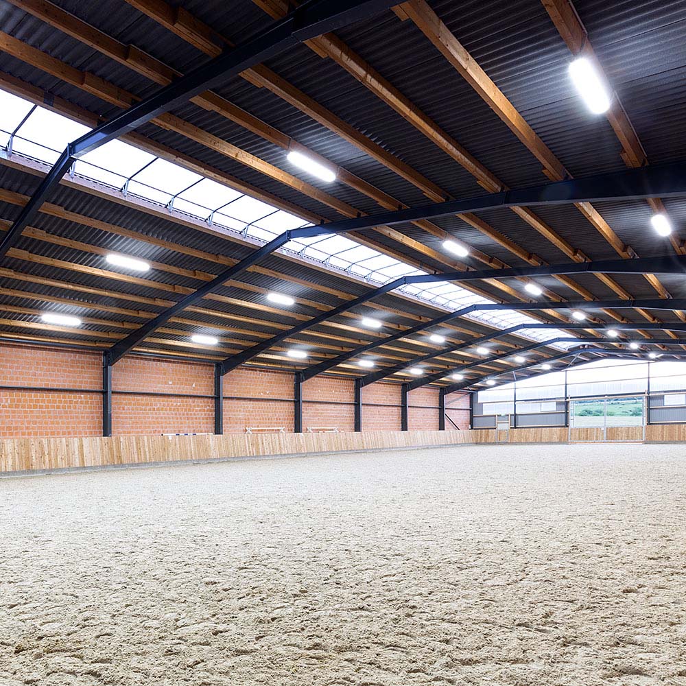 DOTLUX LED-Hallenflächenleuchte HALLprotect 145W 5000K DALI