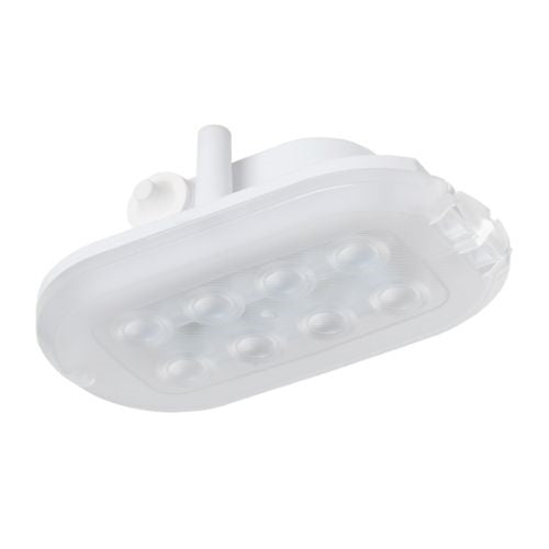 DOTLUX LED-Kellerleuchte OVAL 4,5W 4000K IP44