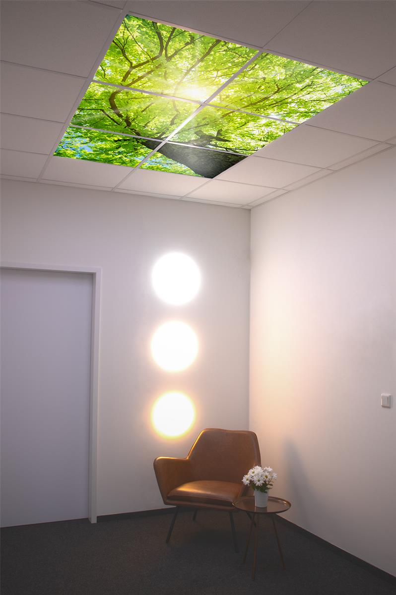 DOTLUX Motivplatte SKYLIGHT für Einbaupanels Motiv 1 Raster 1x1 für 620x620