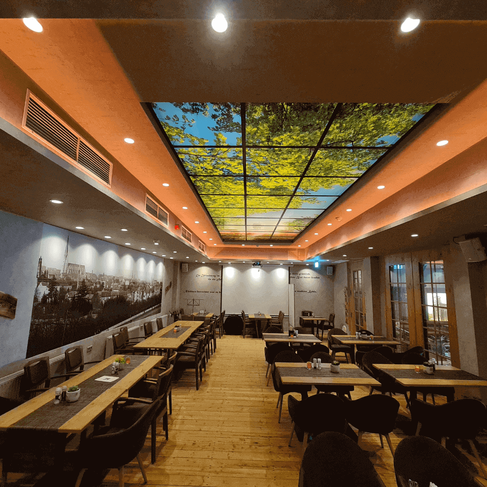 DOTLUX Motivplatte SKYLIGHT für Einbaupanels Motiv 1 Raster 1x1 für 620x620