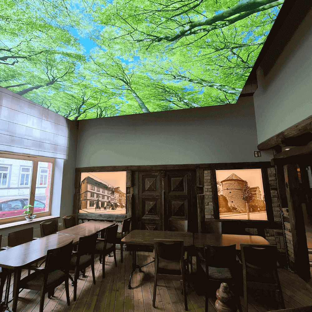 DOTLUX Motivplatte SKYLIGHT für Einbaupanels Motiv 1 Raster 1x1 für 620x620